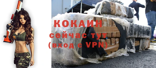 spice Няндома